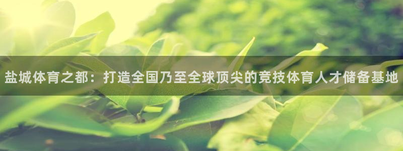yy易游官网下载招商电话号码是多少啊:盐城体育之都:打造全国