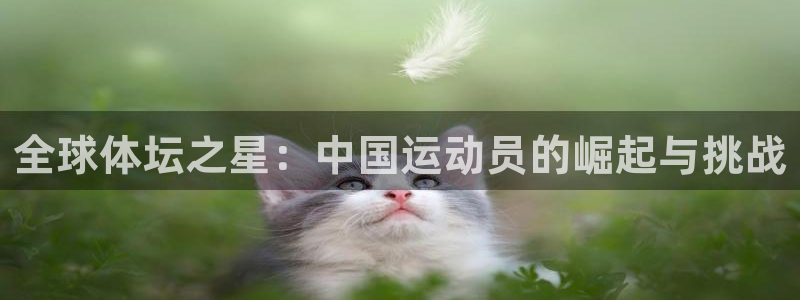yy易游官方正版app集团官网首页:全球体坛之星:中国运动员